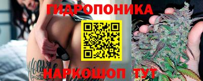 apvp Гусиноозёрск