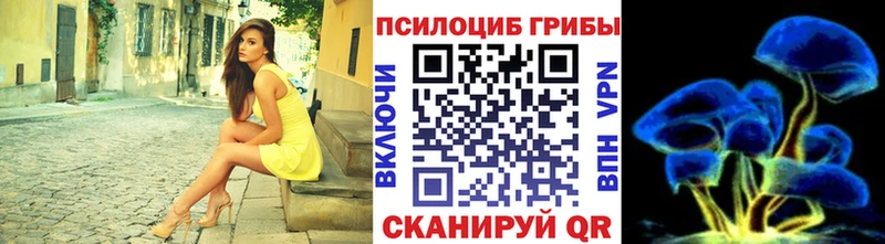 Псилоцибиновые грибы Psilocybine cubensis MEGA ссылки Чистополь