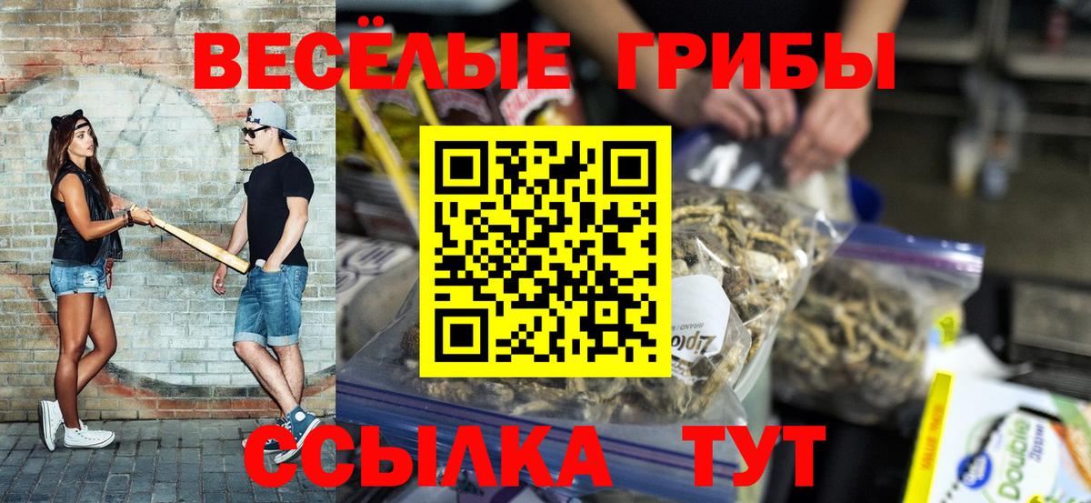 Чистополь  Галлюциногенные грибы Cubensis  Вход с VPN 